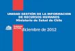 UNIDAD GESTIÓN DE LA INFORMACION DE RECURSOS HUMANOS Ministerio de Salud de Chile diciembre de 2012