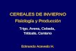 CEREALES DE INVIERNO Fisiología y Producción Trigo, Avena, Cebada, Triticale, Centeno Edmundo Acevedo H
