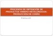 Prática #5 PROCESOS DE OBTENCIÓN DE PRODUCTOS MINERO-METALÚRGICOS: PRODUCCIÓN DE COBRE