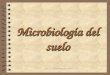 María Cecilia Arango Jaramillo Microbiología del suelo