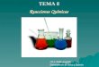Reacciones Químicas Reacciones Químicas I.E.S. Pablo Gargallo Departamento de Física y Química TEMA 8