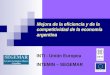 Mejora de la eficiencia y de la competitividad de la economía argentina INTI - Unión Europea INTEMIN – SEGEMAR