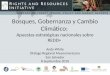 -s Bosques, Gobernanza y Cambio Climático: Apuestas estratégicas nacionales sobre REDD+ Andy White Diálogo Regional Mesoamericano San Salvador 8 Septiembre