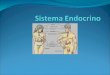Organismos Superiores: Coordinación entre Sistema nervioso y sistema endocrino, permiten respuestas muy complejas