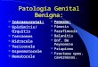 Patología Genital Benigna: Intraescrotal: Epidimitis/Orquitis Torsiones Hidrocele Varicocele Espermatocele Hematocele Peneana: Fimosis Parafimosis Balanitis