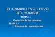 EL CAMINO EVOLUTIVO DEL HOMBRE TEMA 1.- Evolución de los primates Evolución de los primates TEMA 2.- Proceso de hominización