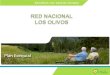 K. K Contenido Quienes somos Valores Planes Corporativos Red Los Olivos Cadena de Valor Sedes Red Olivos Sedes Los Olivos Bogotá Valores Agregados