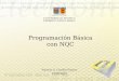 Programación Básica con NQC Patricio A. Castillo Pizarro 18/08/2007