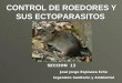 CONTROL DE ROEDORES Y SUS ECTOPARASITOS SECCION 13 José Jorge Espinoza Eche Ingeniero Sanitario y Ambiental