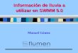 Manuel Gómez Información de lluvia a utilizar en SWMM 5.0