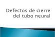 Se estima que la prevalencia de las formas más comunes de los DCTN (anencefalia y espina bífida) es de 300.000 casos al año en el mundo  En Argentina,