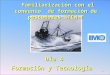 1 Familiarización con el convenio de formación de pescadores STCW-F Familiarización con el convenio de formación de pescadores STCW-F Día 4 Formación yTecnología
