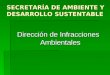 SECRETARÍA DE AMBIENTE Y DESARROLLO SUSTENTABLE Dirección de Infracciones Ambientales