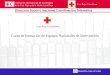Federación Internacional de Sociedades de la Cruz Roja y de la Media Luna Roja Dirección Socorro Nacional Coordinación Telemática TELEMATICA / DSN / NIT´s
