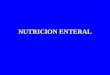 NUTRICION ENTERAL. NUTRICIÓN ENTERAL administración, por vía digestiva, de una mezcla constante y conocida de nutrientes obtenidos industrialmente, mediante