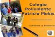 Www.themegallery.com L/O/G/O Colegio Polivalente Patricio Mekis Plan de mejoramiento educativo Cultivando La Excelencia