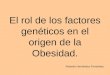 El rol de los factores genéticos en el origen de la Obesidad. Rolando Hernández Fernández