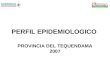 PERFIL EPIDEMIOLOGICO PROVINCIA DEL TEQUENDAMA 2007