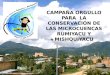CAMPAÑA ORGULLO PARA LA CONSERVACIÓN DE LAS MICROCUENCAS RUMIYACU Y MISHQUIYACU