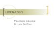 LIDERAZGO Psicología Industrial Dr. Luis Del Toro