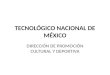 TECNOLÓGICO NACIONAL DE MÉXICO DIRECCIÓN DE PROMOCIÓN CULTURAL Y DEPORTIVA