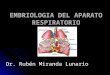 EMBRIOLOGIA DEL APARATO RESPIRATORIO Dr. Rubén Miranda Lunario