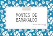 MONTES DE BARAKALDO MELISSA MANSO ESPINOSA 2014. o En Barakaldo no todo son vegas y riberas, ya que gran parte de su geografía es montañosa. En la siguiente