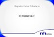 Registro Ú nico Tributario TRIBUNET. Procedimiento para la Modificación de datos en el Registro Único Tributario