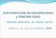 SUB DIRECCION DE DISCAPACIDAD y TERCERA EDAD GOBIERNO MUNICIPAL DE CURUZÚ CUATIÁ SÍNTESIS DE LAS ACTIVIDADES 2008