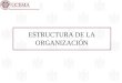 ESTRUCTURA DE LA ORGANIZACIÓN. ESTRUCTURA DE LA ORGANIZACION Características Visión, misión, objetivos y estrategia Tipos de organización