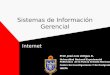 Sistemas de Información Gerencial Internet Prof. José Luis Artigas R. Universidad Nacional Experimental Politécnica de la Fuerza Armada Nacional Centro
