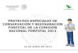 PROYECTOS ESPECIALES DE CONSERVACIÓN Y RESTAURACIÓN FORESTAL DE LA COMISIÓN NACIONAL FORESTAL 2013 24 DE JUNIO DE 2013