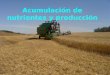 Acumulación de nutrientes y producción. Importancia de la desnutrición en el mundo Aspectos básicos de la nutrición para la producción de biomasa Suelos