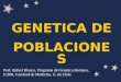 GENETICA DE POBLACIONES Prof. Rafael Blanco, Programa de Genetica Humana, ICBM, Facultad de Medicina, U. de Chile