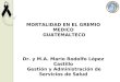 MORTALIDAD EN EL GREMIO MEDICO GUATEMALTECO Dr. y M.A. Mario Rodolfo López Castillo Gestión y Administración de Servicios de Salud