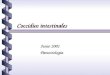 Coccidios intestinales Junio 2001 Junio 2001 Parasitología Parasitología