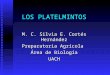 LOS PLATELMINTOS M. C. Silvia E. Cortés Hernández Preparatoria Agrícola Área de Biología UACH