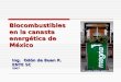 Biocombustibles en la canasta energética de México Ing. Odón de Buen R. ENTE SC 2007