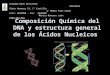 Composición Química del DNA y estructura general de los Ácidos Nucleicos Colegio René Descartes BIOLOGÍA Vista Hermosa 19, Cº Castillo 4º Medio Plan Común