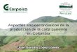 Aspectos socioeconómicos de la producción de la caña panelera en Colombia