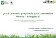 ¿Está Colombia preparada para la reversión Minero – Energética? Seminario Macroeconómico Anif - Fedesarrollo Cali, febrero 18 de 2015 Luis Fernando Londoño
