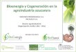 INGENIO PROVIDENCIA S.A. INCAUCA S.A. (Sector agroindustrial Organización Ardila Lülle - OAL) Octubre de 2014 Bioenergía y Cogeneración en la agroindustria