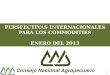 PERSPECTIVAS INTERNACIONALES PARA LOS COMMODITIES ENERO DEL 2013 1