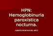 HPN: Hemoglobinuria paroxística nocturna. ALBERTO MONTAVA DEL ARCO