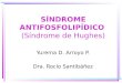 SÍNDROME ANTIFOSFOLIPÍDICO (Síndrome de Hughes) Yurema D. Arroyo P. Dra. Rocío Santibáñez