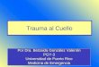 Trauma al Cuello Por Dra. Betzaida González Valentín PGY-3 Universidad de Puerto Rico Medicina de Emergencia