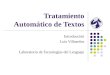 Tratamiento Automático de Textos Introducción Luis Villaseñor Laboratorio de Tecnologías del Lenguaje