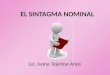 Lic. Ivana Tejerina Arias EL SINTAGMA NOMINAL EL SINTAGMA NOMINAL