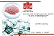 Prof. Claudio R. Maffet ESCUELA DE CIENCIAS DE LA SALUD CÁTEDRA DE NEUROBIOLOGÍA Carrera de Fonoaudiología CORRECCIÓN