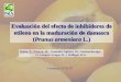 Evaluación del efecto de inhibidores de etileno en la maduración de damasco (Prunus armeniaca L.) Rubio, P., Pizarro, M., González-Agüero, M., Gudenschwager,